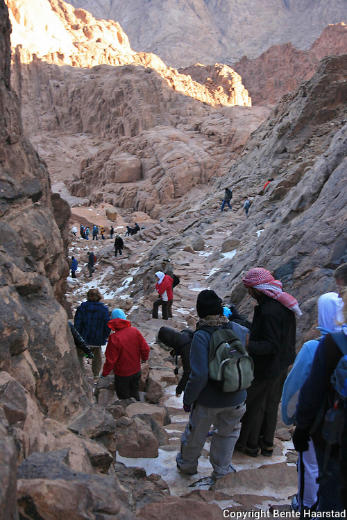 TABA / MOUNT SINAI / CAIRO